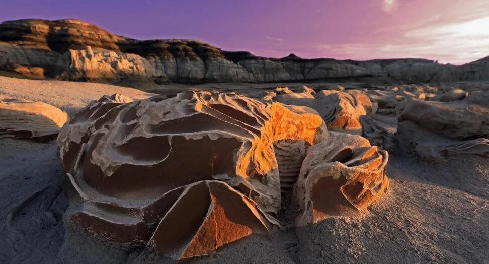 Уникальная форма. Bisti Badlands. Бисти-Бэдлендс - заповедник в США. Глиняная пустыня Нью Мексико. Пустыня Бисти каменные цветы.