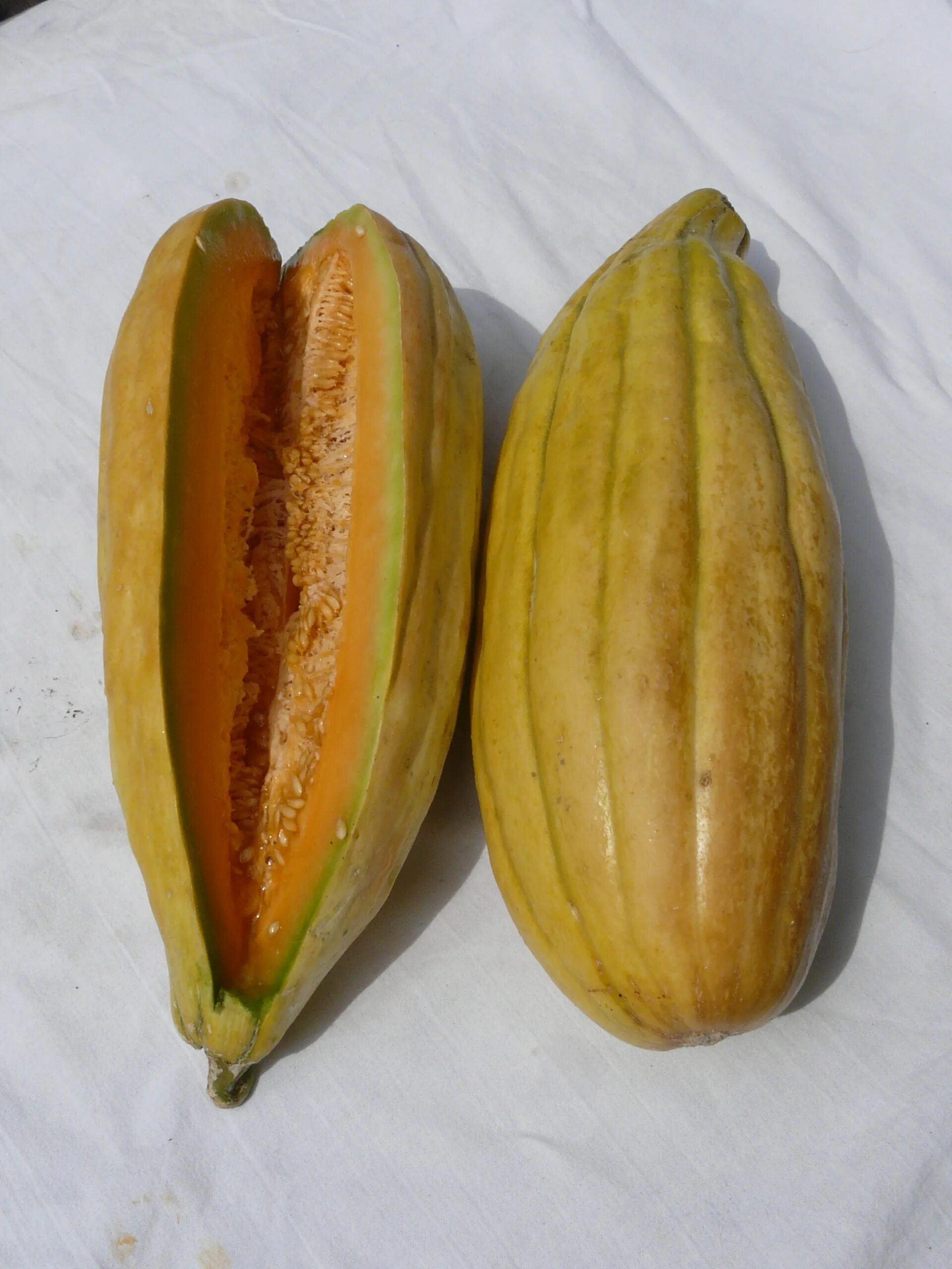 Veeho дыня банан. Банановая дыня. Манго дыня. Гибрид манго банана дыни. Дыня банан 5шт.