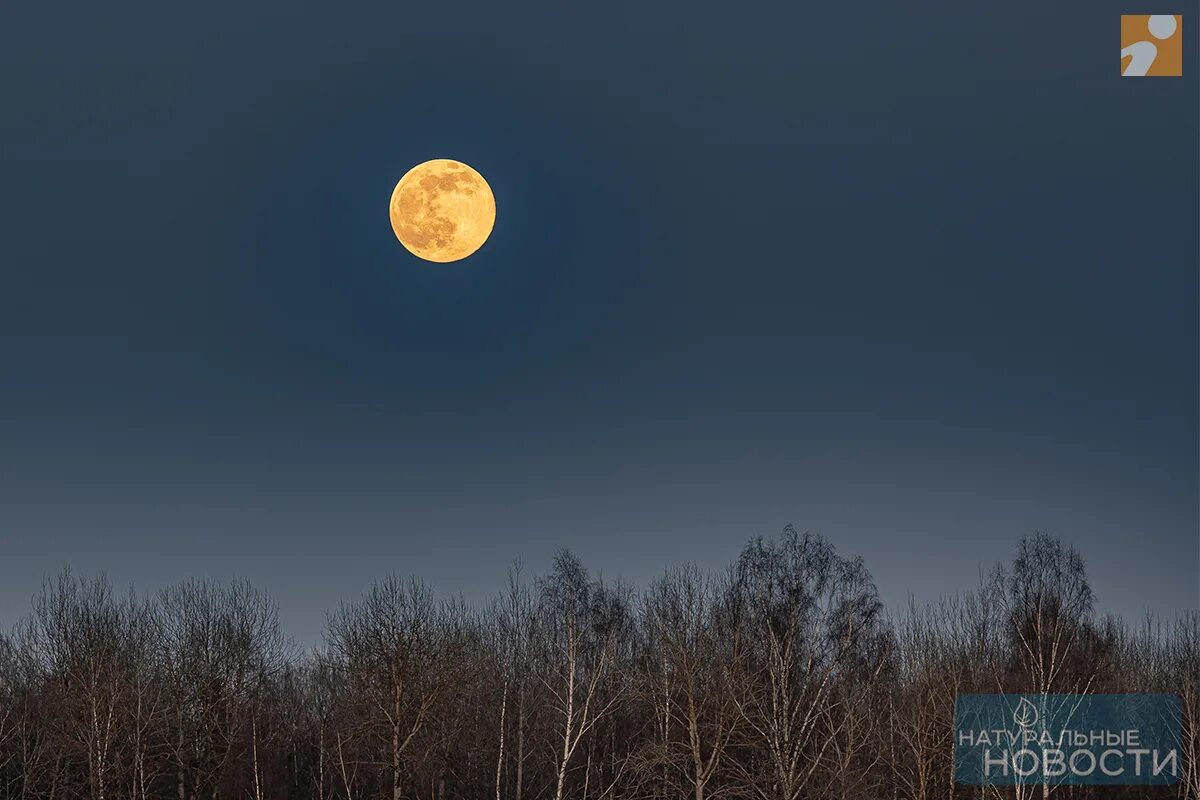 Остерегайся полнолуния в марте 65. Мартовское полнолуние. Луна очень близко к земле 2021. Луна раньше была ближе к земле. Полнолуние Преображенская.