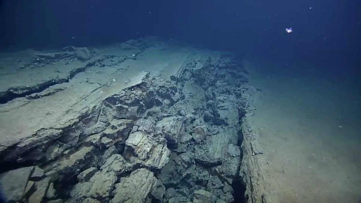 Глубоководные части океана. Берингово море дно. Донные отложения Атлантического океана. Глубоководные рифы. Дно океана.