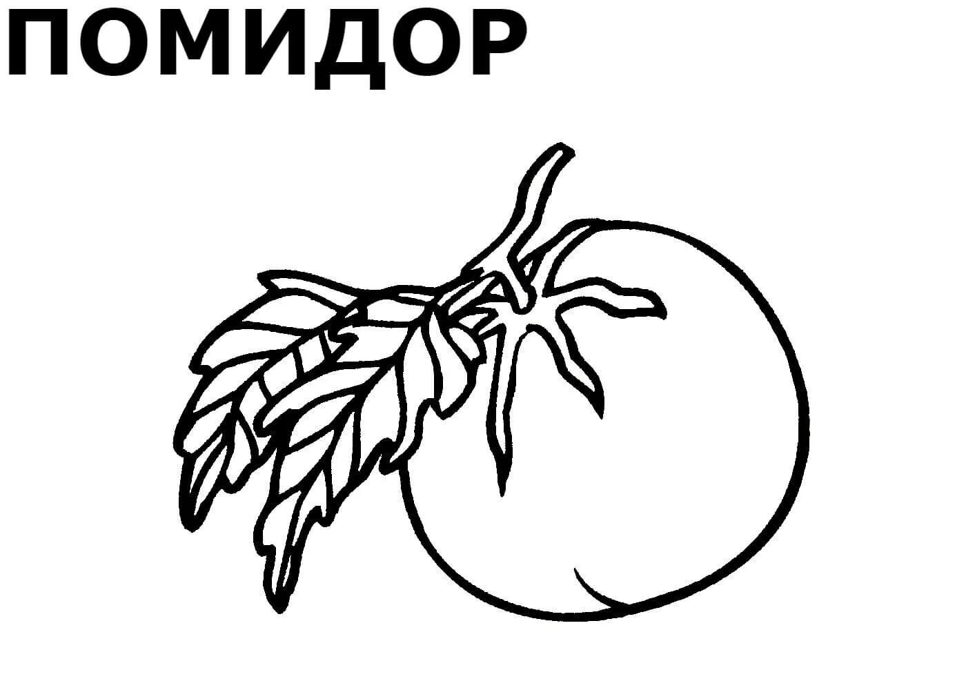 Раскраски овощи распечатать 5 6 лет Pin on Cuttable and Printables Coloring pages, Apple coloring pages, Fruit color