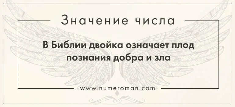 0202 Значение числа на часах. 02 02 Ангельская нумерология. Что означает время 0202 на часах. Что значит 0202. 20.20 значение ангельская