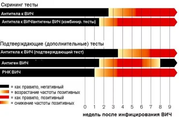 Через сколько покажет вич. Через сколько покажет вич. Через сколько покажет вич. Количество крови необходимое для заражения вич. Через сколько покажет вич.