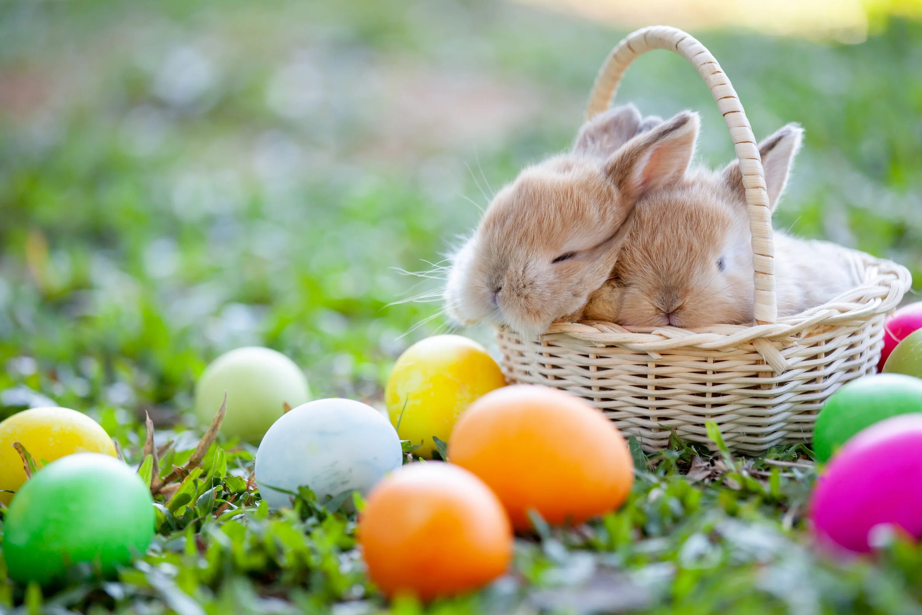 Пасха. Пасхальный кролик. Пасхальный зайчик. Пасха (Ostern). Spring weekend