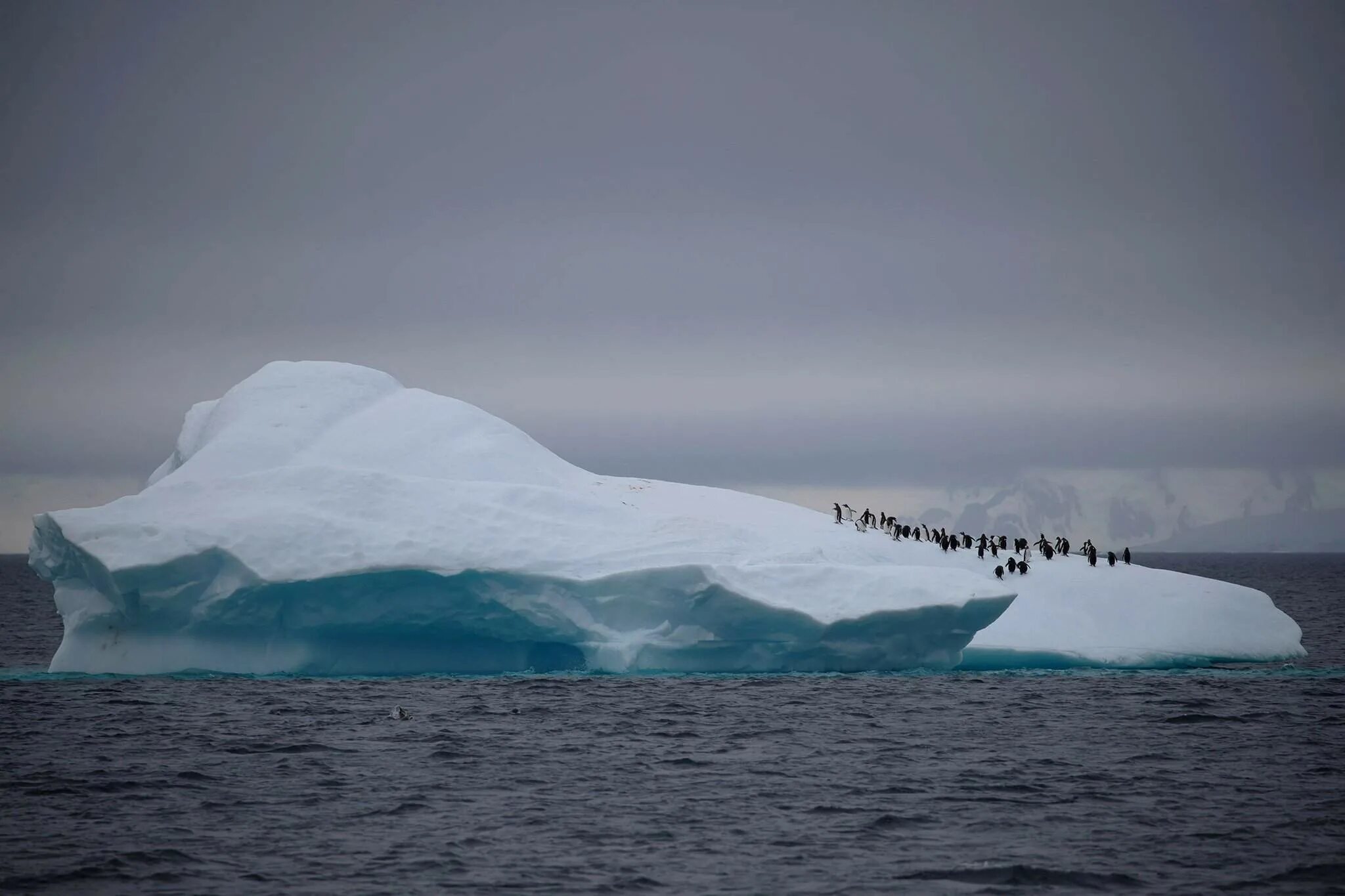 Полуостров южного океана. Пролив Лемэра Антарктика. Айсберги Антарктиды. Антарктика и Антарктида. Ледники Антарктиды.