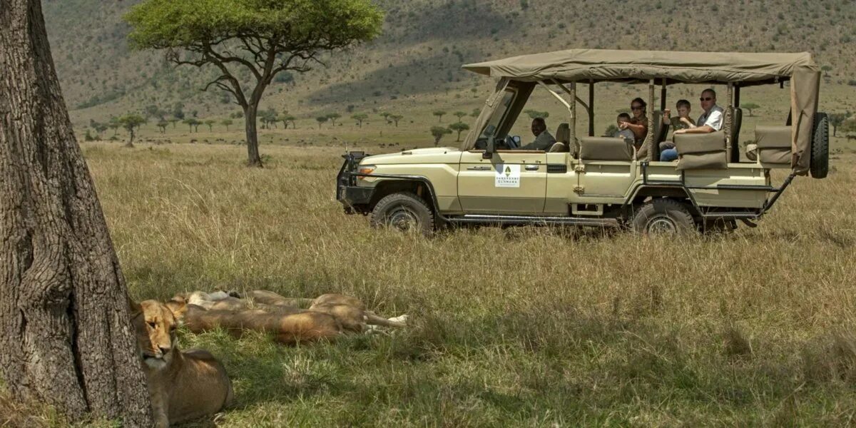 Trip africa. Джип сафари Танзания. Джип сафари Кения. Джип для сафари в Африке. Джип для сафари 1970.