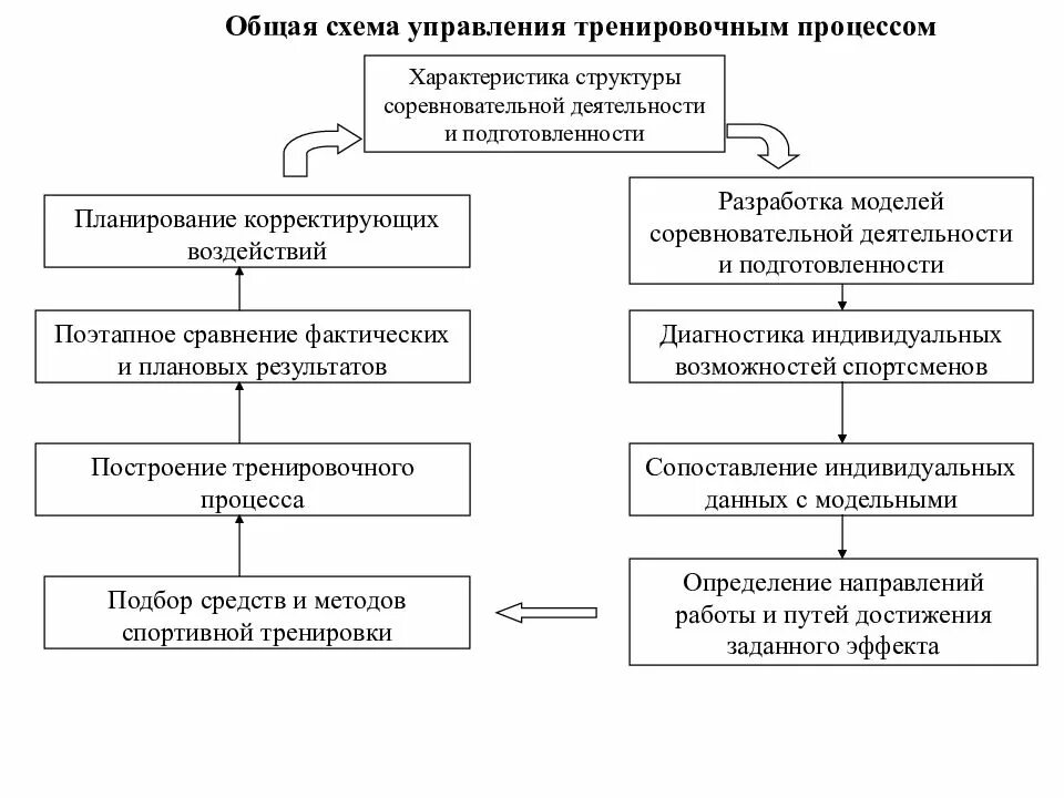 Схема управления тренировочным процессом. Схема тренировочного процесса. Схема спортивной подготовки. Общая схема процесса управления. Управление подготовкой спортсмена