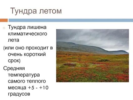 Название климатического пояса тундры