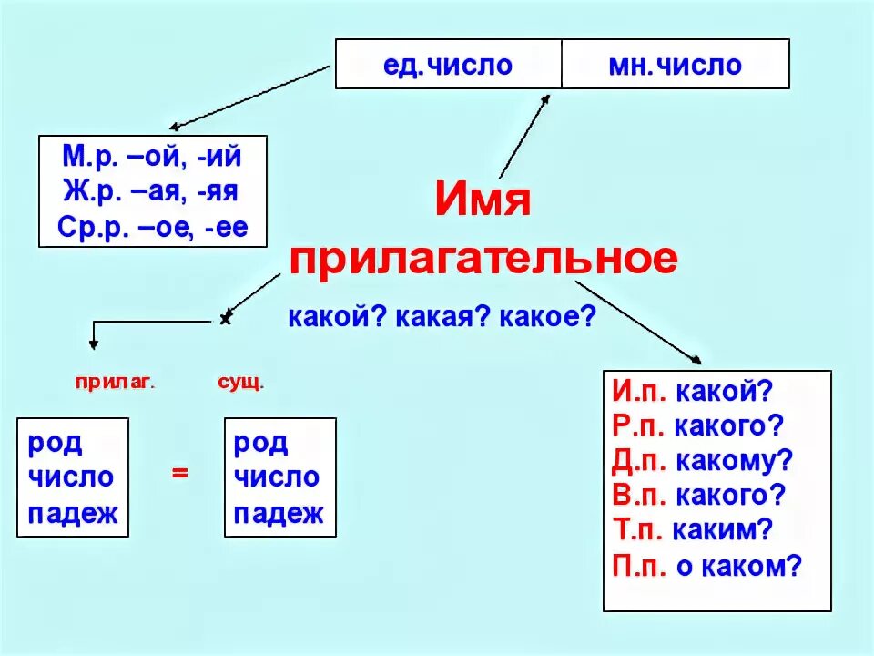 Конспект урока имя прилагательное обобщение 4 класс. Части речи 3 класс русский язык. части речи схема 3 класс. презентация на тему части речи. урок на тему пасти речт.
