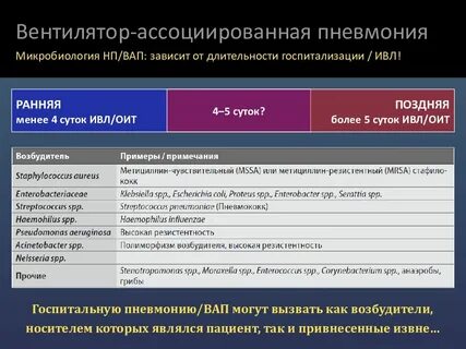 Носитель возбудителей