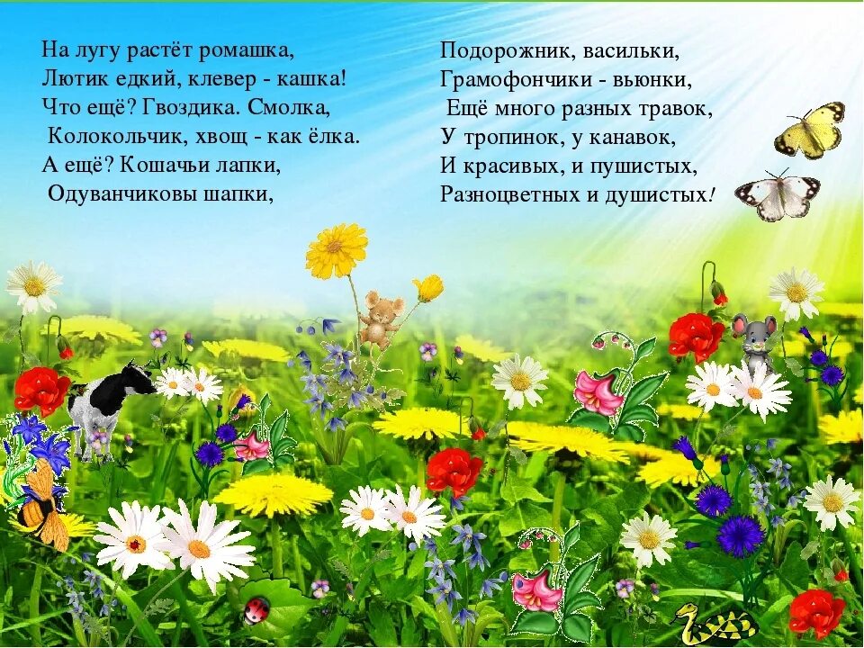 Полевые цветы рассказ забери ее себе 16. Стихи о цветах для детей. стихи про цветы. стихи про цветы для детей. стихотворение о цветах для детей.