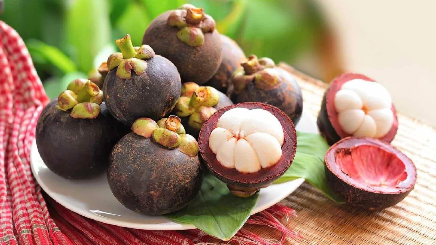 мангустин монастырский. рамбутан мангустин. мангостан (мангостин). мангостин гигантский фрукт. мангостан мангустин.