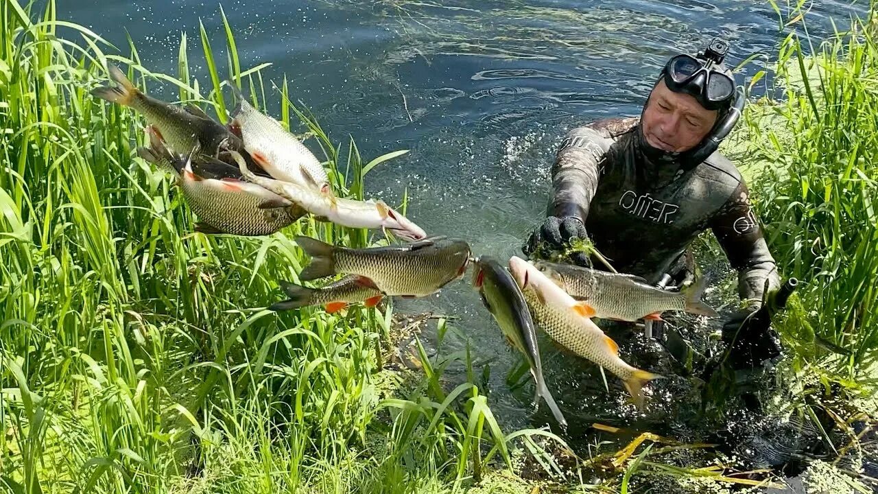 Подводная охота спб. Подводная охота. подводная охота прозрак. река пьяна нижегородская область рыбалка.