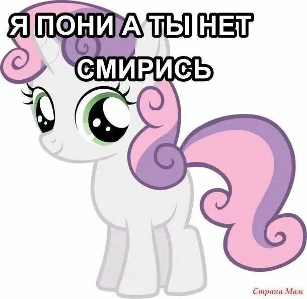 Я пони а ты нет смирись обои. Я пони а ты нет смирись обои. Я пони а ты нет смирись обои. Я пони а ты нет смирись обои. Я пони а ты нет смирись обои.