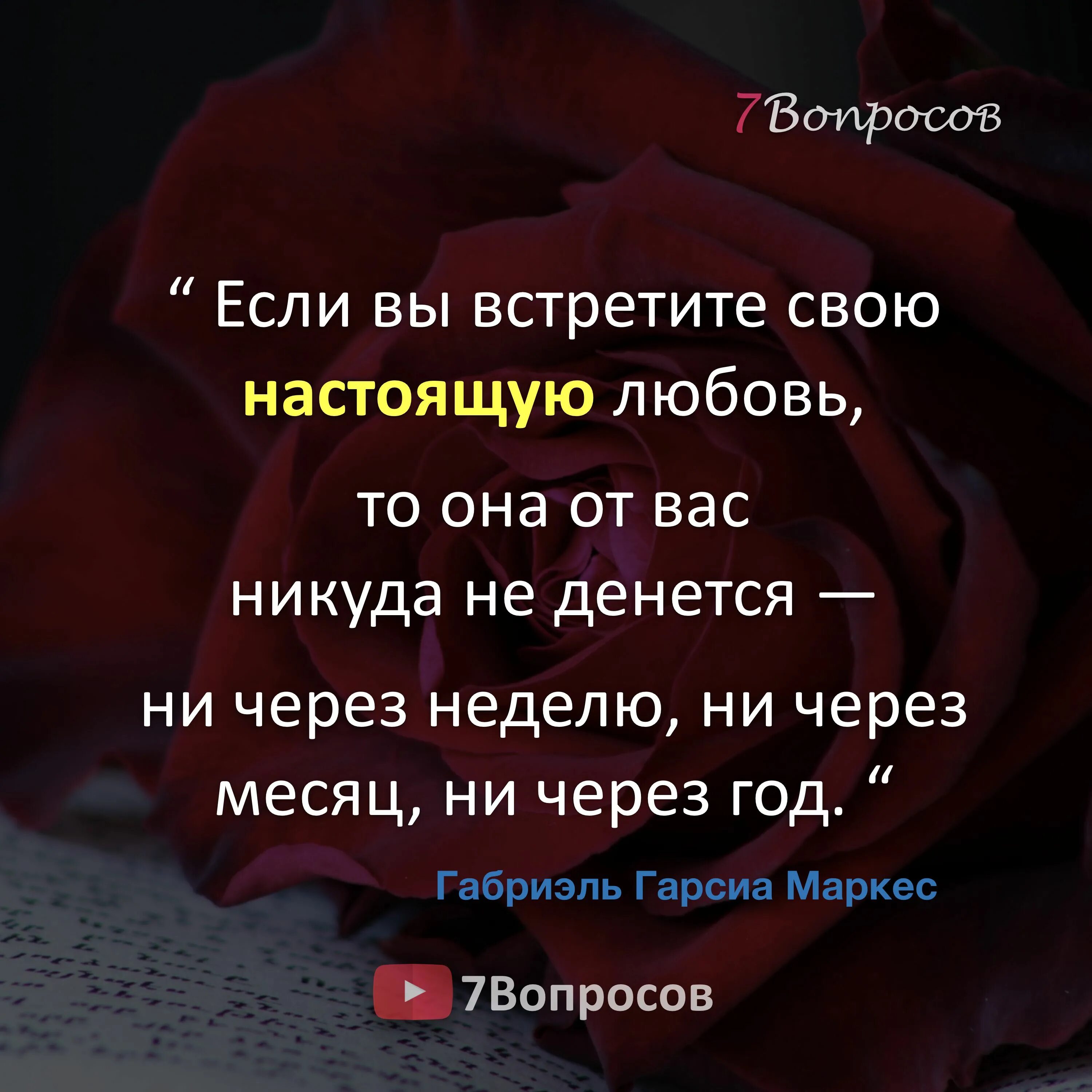 Ни через месяц. Габриэль Гарсиа Маркес афоризмы. Габриэль Гарсиа Маркес цитаты. Цитаты Габриэля Гарсиа Маркеса. Маркес цитаты о любви.