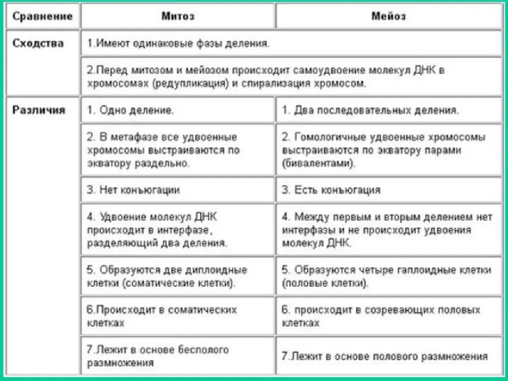 Отличия митоза от мейоза 9 класс. Отличие митоза от мейоза таблица 9 класс. Сравнение митоза и мейоза таблица 9 класс. Сходства и различия митоза и мейоза в таблице. Митоз мейоз характеристика процессов.