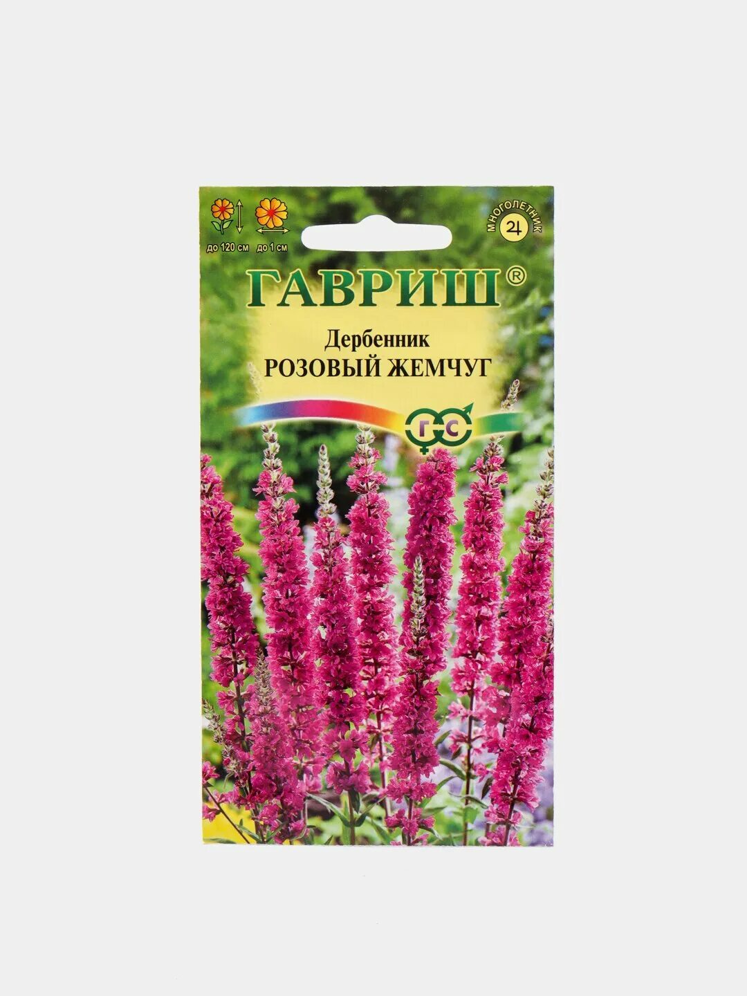 Дербенник иволистный семена. Дербенник прутовидный. Дербенник иволистный. Дербенник иволистный блаш. Дербенник иволистный семена.
