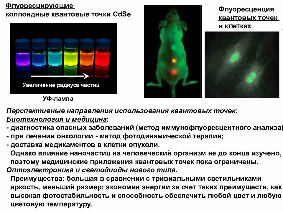 Квантовые точки. Квантовые точки флуоресценция. Флуоресцентные полупроводниковые квантовые точки. Коллоидные квантовые точки. Называют обладают флюоресцируют