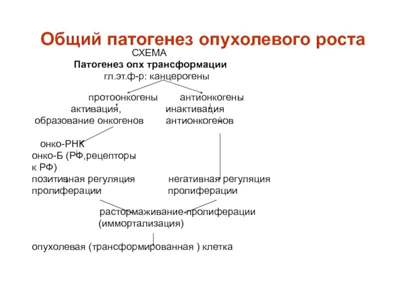 Болезнь крона механизм развития. Классификация патогенез. Этиология нарушений функций почек. Взаимосвязь этиологии и патогенеза. Липома этиология и патогенез учебник.