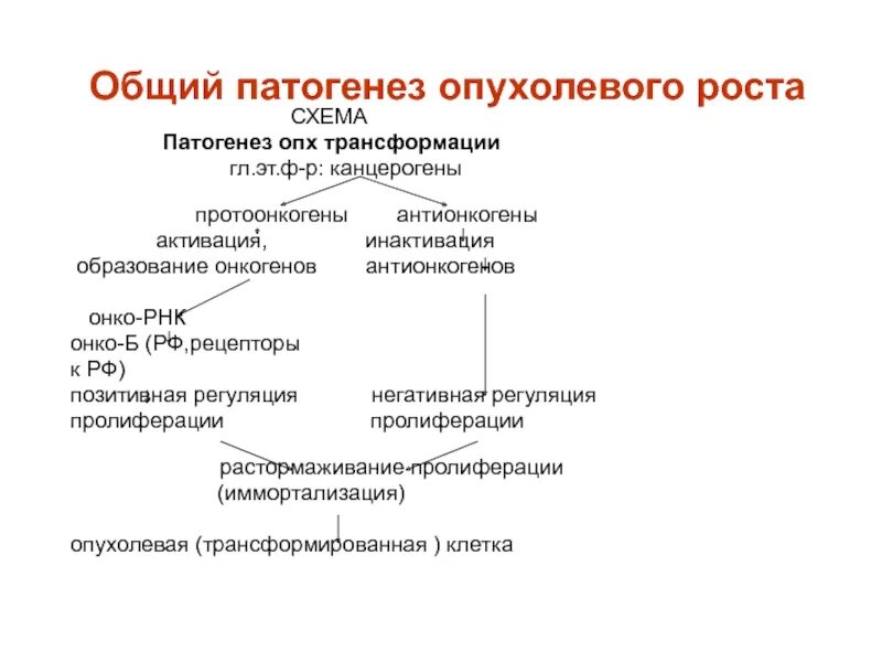 Патогенез опухолевого роста патофизиология. Патогенез опухолевого роста трансформация. Патогенез опухолей патофизиология. Опухолевый рост патофизиология. Общая этиология общий патогенез