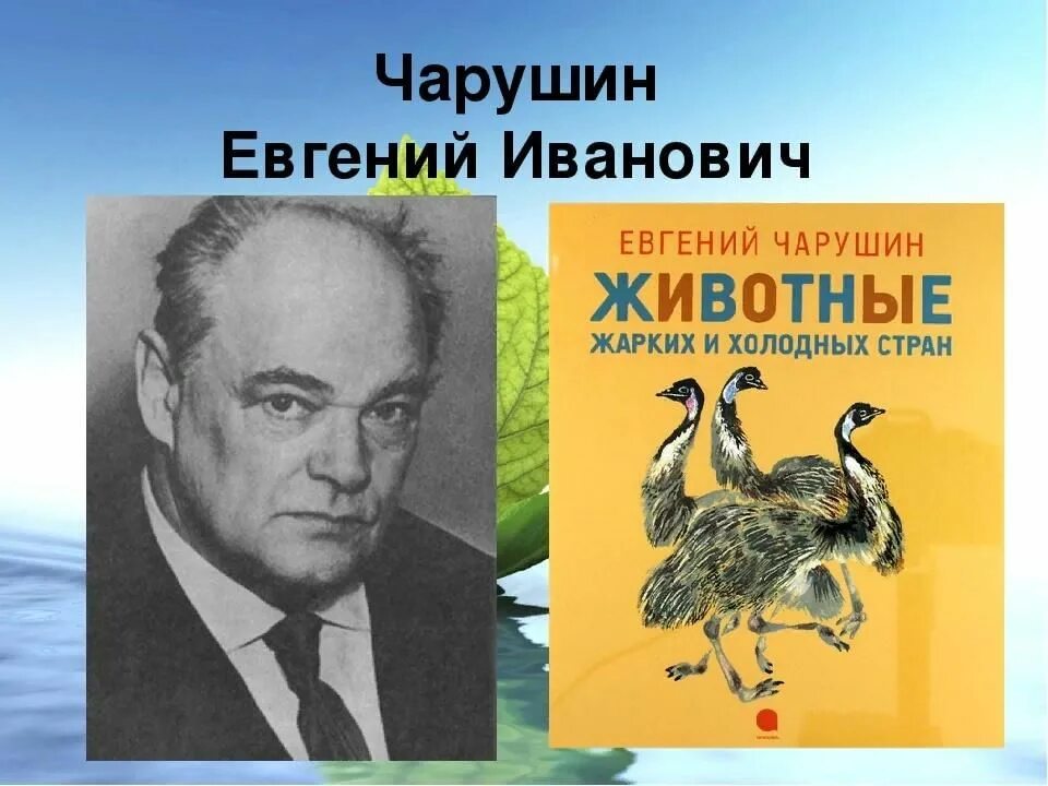 Е и чарушин произведения. Портрет е Чарушина.