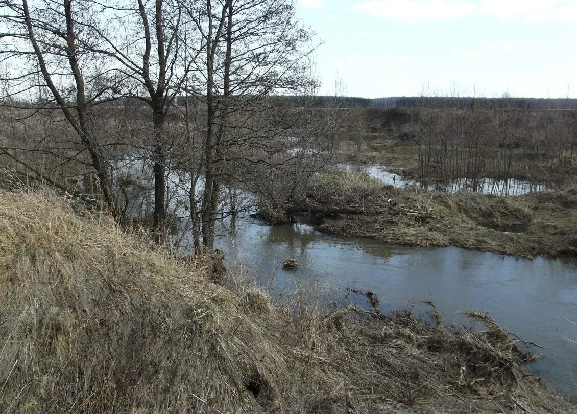 воскресенск фотографии. рыболово раменский район. бронницы воскресенск. виноградово воскресенск. иваново краевед.