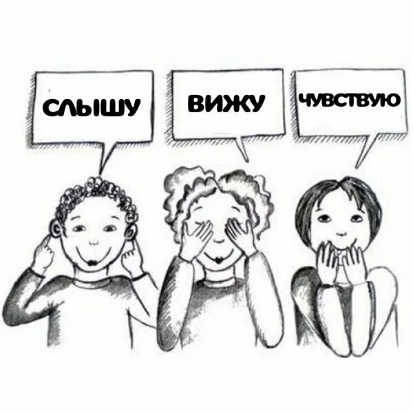 Вижу слышу ощущаю
