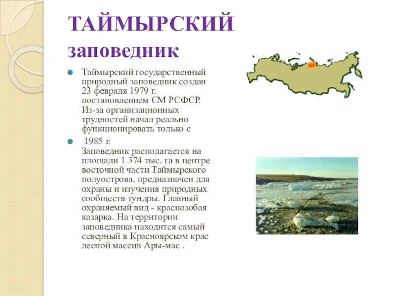 Заповедники смешанных и широколиственных. Таймырский государственный природный биосферный заповедник. Все заповедники природных зон. Заповедники лесной зоны. Все заповедники природных зон.