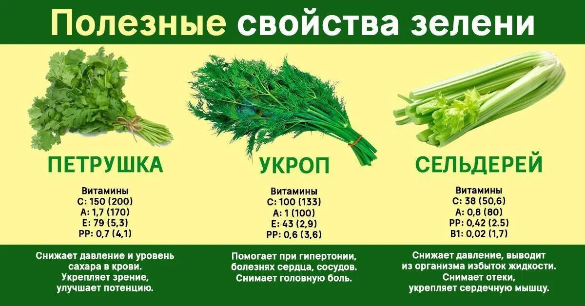 Какие витамины содержатся в траве. Петрушка укроп состав витаминов. кинза сельдерей петрушка. полезная зелень. витамины в зелени петрушке и укропе.