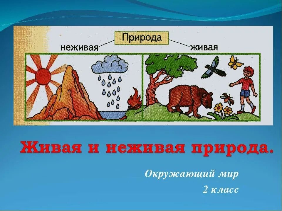 Привести пример живой и неживой природы. Взаимосвязь живой и неживой природы. Связь между живой и неживой природой. Связь между живой и неживой природой схема. Схема взаимосвязи живой и неживой природы.