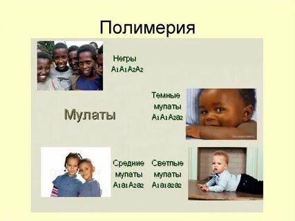 Генетика кожи