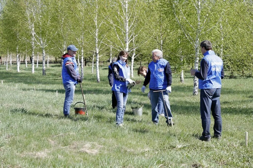 День посадки деревьев 2025. Высадка деревьев в лесу. урманфест посадка деревьев. высадка деревьев в парке станицы северской краснодарского. 17 мая день посадки деревьев в россии.