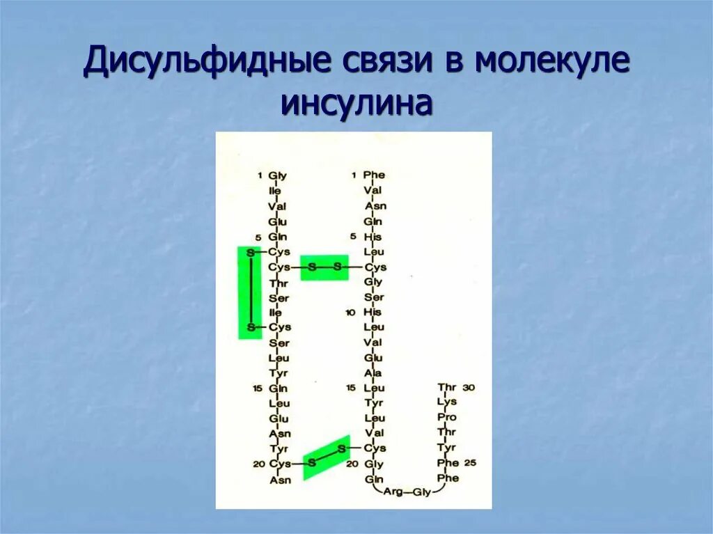 Образование дисульфидной связи. Дисульфидные связи. Дисульфидные и водородные связи в волосе. Образование дисульфидной связи в белках. Дисульфидные мостики.