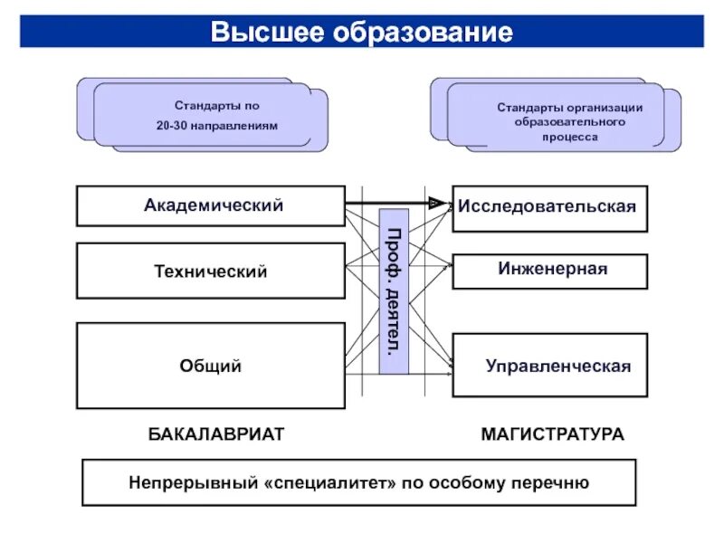 Направления высшего образования. Организация высшего образования. Направления в высшем образовании. Высшее образование виды.