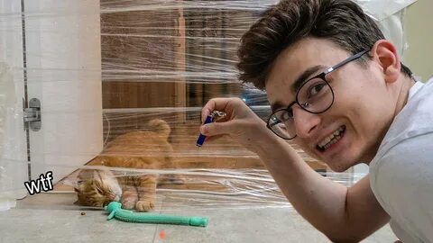 Брайан коте