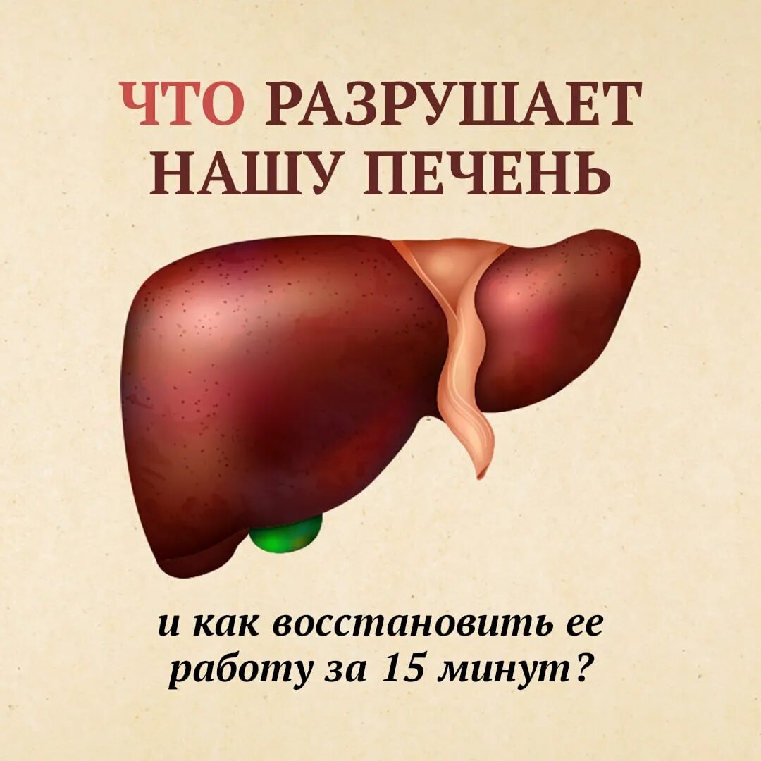 Нарушены функции печени. Нарушение функции печени. нарушение функции печени симптомы. дисфункция печени симптомы.