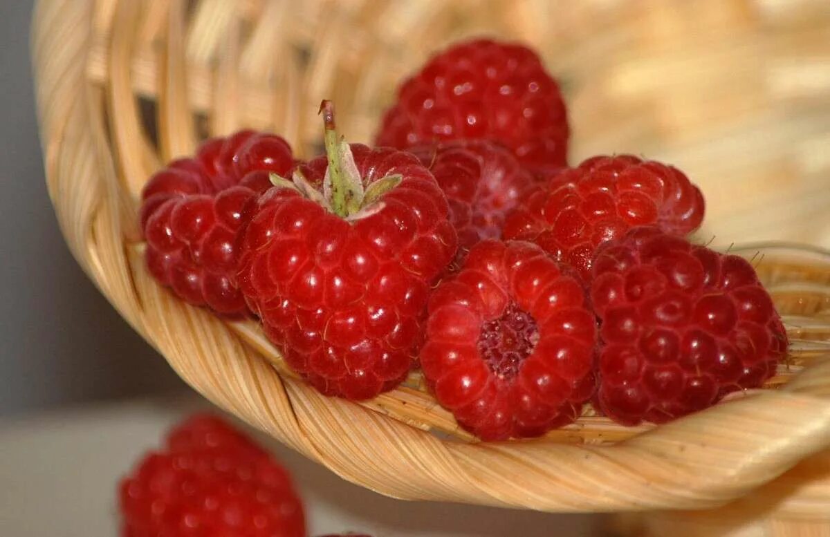 Рофрукты. Малинки-малинки такие. Малинка. Малинки малинки автор. Божья коровка ягодка малинка.