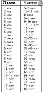 Мерка кошек по годам