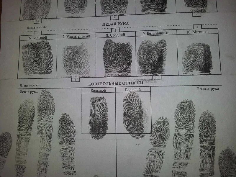 Отпечатки пальцев пример. Дактилоскопическая карта криминалистика. Отпечатки пальцев пример. Отпечатки пальцев пример. Дактилоскопическая карта пример.