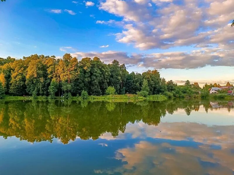 желтый пруд в салтыковке. желтый пруд в салтыковке. озеро тарелочка в салтыковке. история желтого пруда в салтыковке фото. золотой пруд салтыковка.