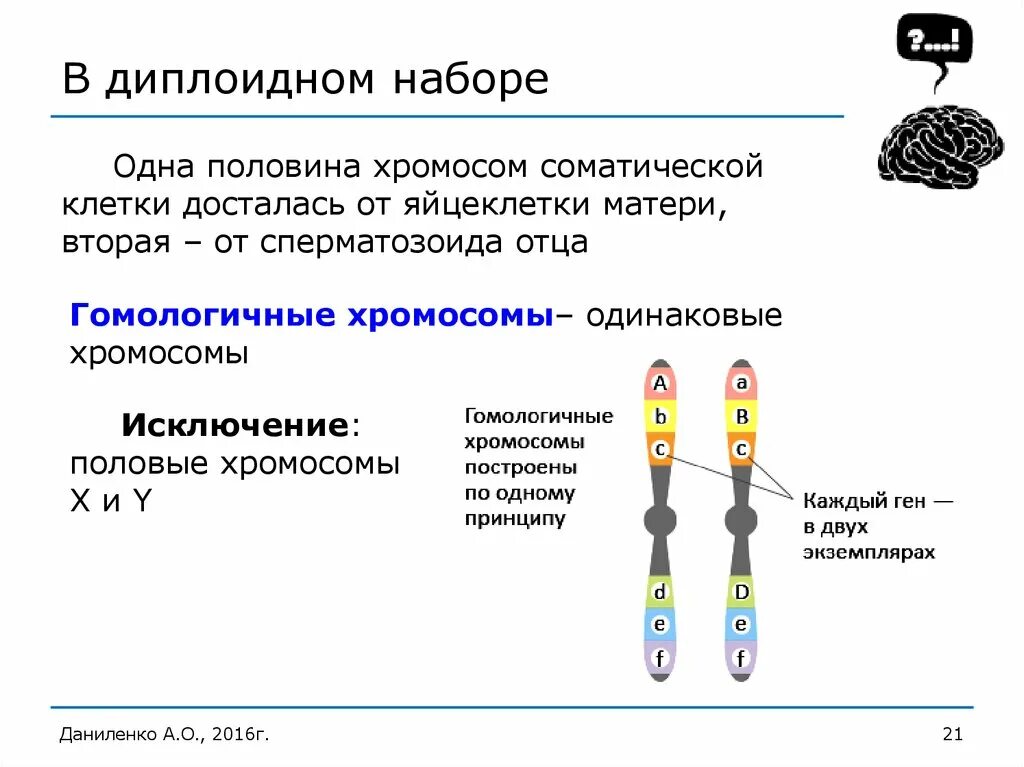 Половина хромосомы. Соматические хромосомы. Соматические и половые хромосомы. Одинаковые хромосомы. Парные хромосомы называются