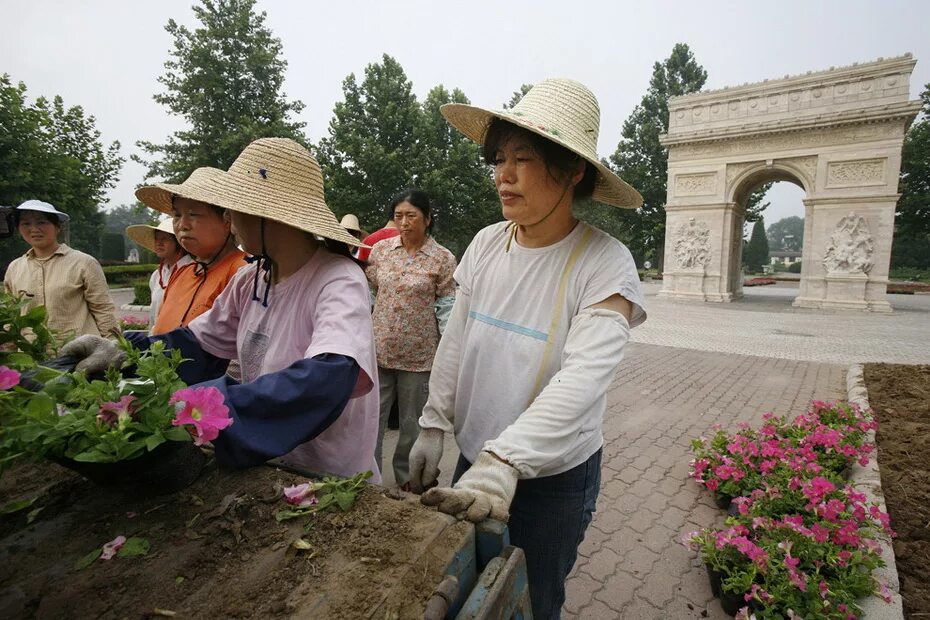 Копии китай. Китайцы копии. китаец с репликой. unloading flowers.