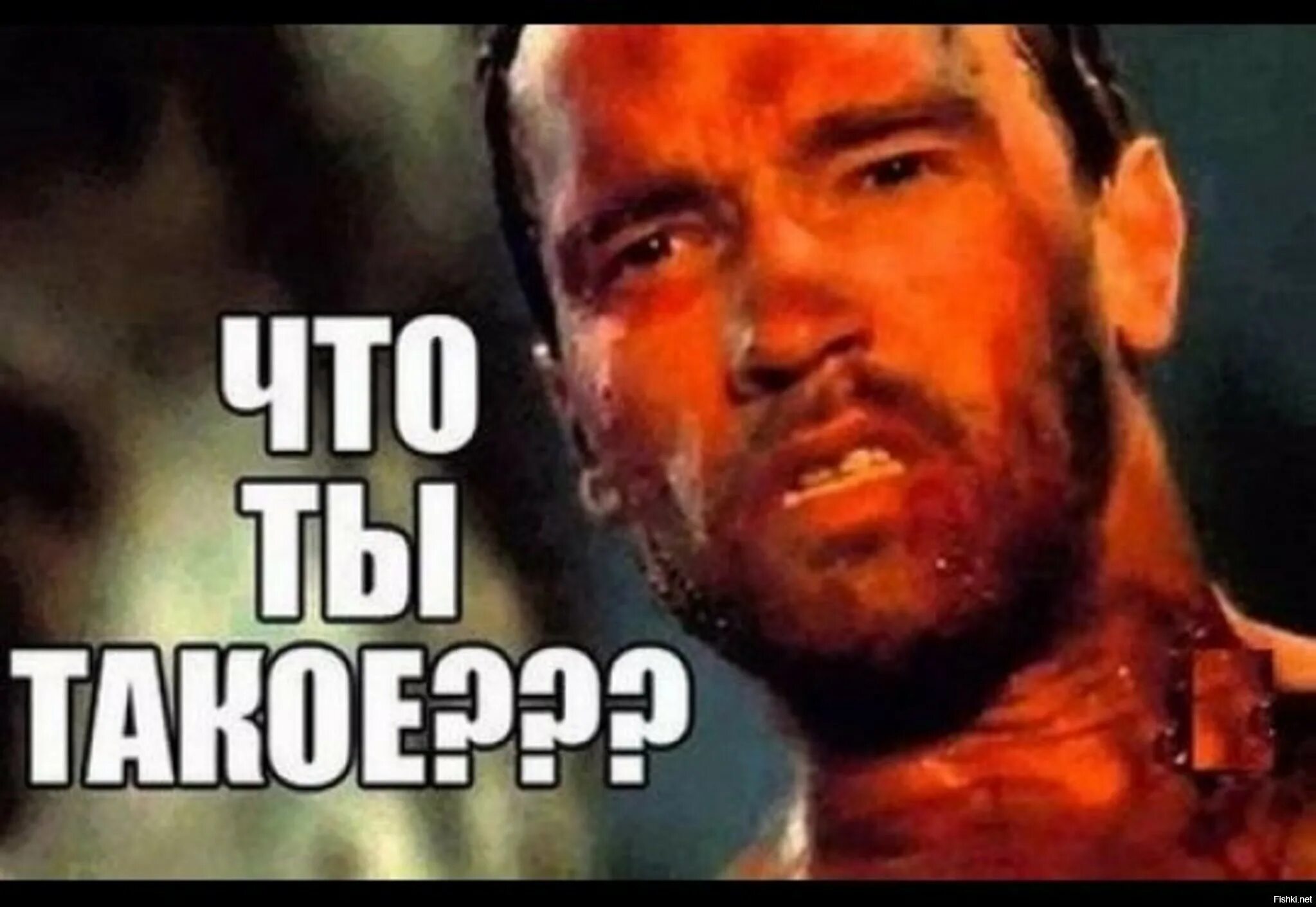 Что ты такое. Да ты что мем. Арнольд шварценеггер что ты такое. Что ты такое. Арнольд шварценеггер что ты такое.