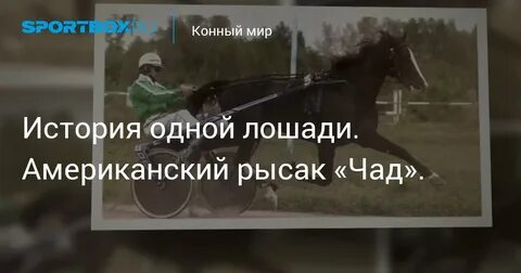 Конный мир программа