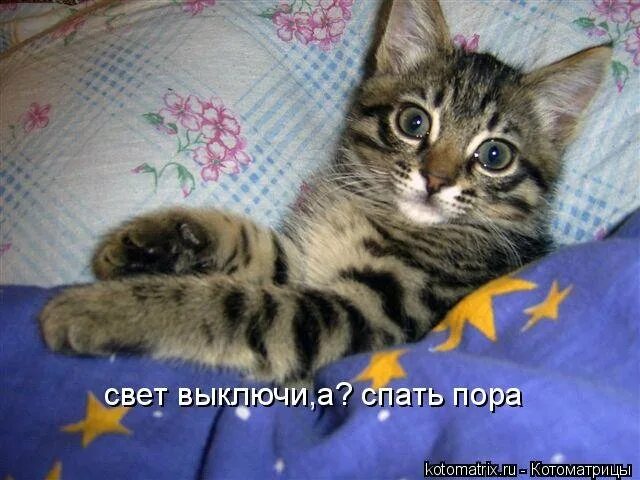 Спать пора и не вздумай. Пора спать!. пора спать картинки. пора спать с котом. уже ночь пора спать.