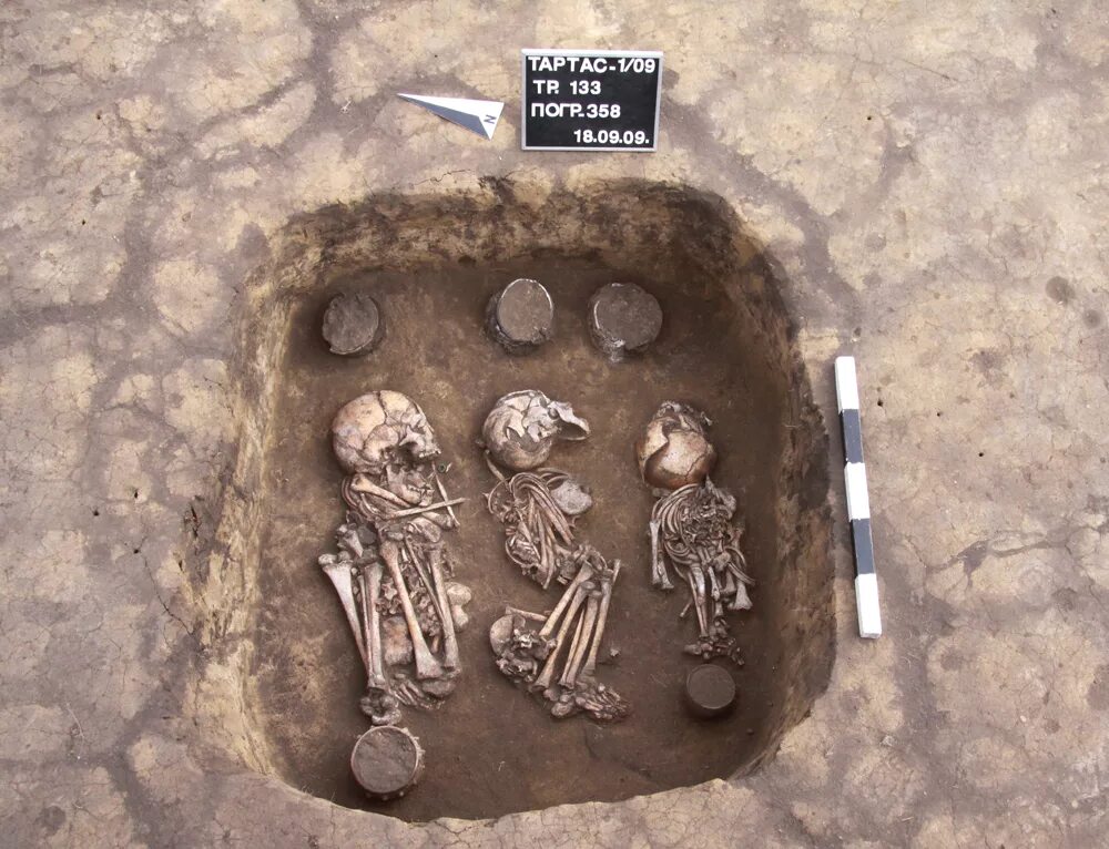 золотой человек талды 2. курчатовский могильник на крупской. могильник 2. могильник 2. могильник нейзац.