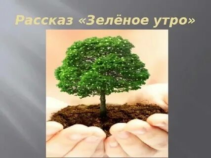 Зеленое утро читать кратко