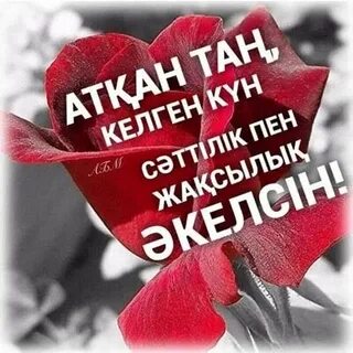 Тамбов облысының жезөкшелері