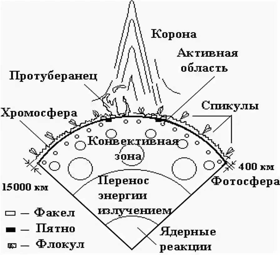 Строение солнца солнечной атмосферы. Строение атмосферы солнца схема. Внутреннее строение солнца. Слои атмосферы солнца и структура. Элементы солнечной короны