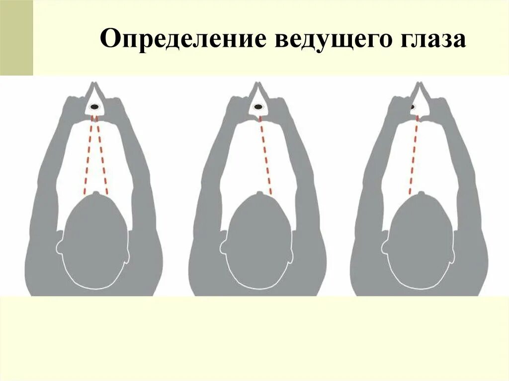Ведущий определение. Определение ведущего глаза. тест на определение ведущего глаза. определение ведущего глаза для стрельбы. определение доминантного глаза.